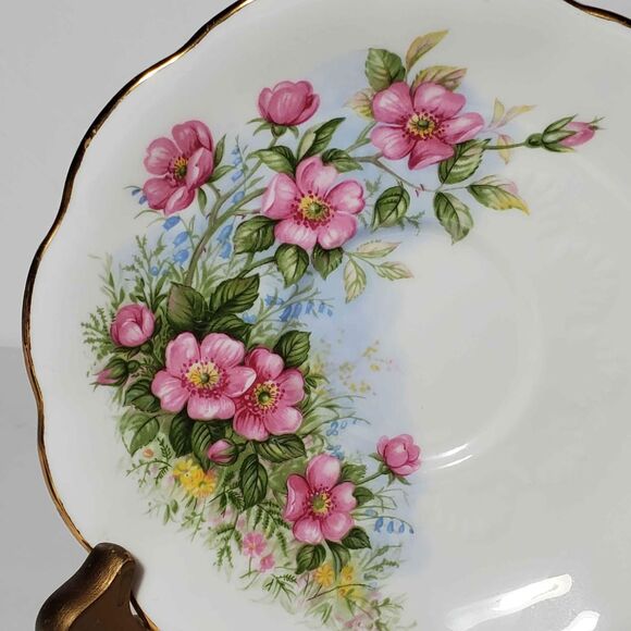 Royal Albert Teacup and Saucer Petula Sunnyside Series - Picture 7 of 9